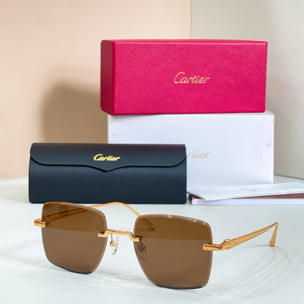 Cartier Santos de Cartier Sunglasses