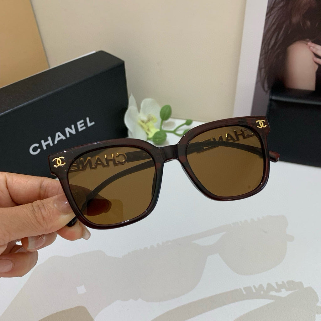 CC Acetate Sunglasses 189564