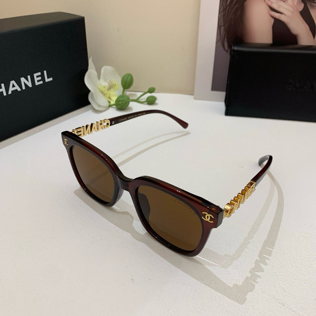 CC Acetate Sunglasses 189564