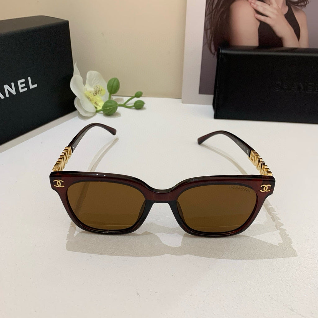 CC Acetate Sunglasses 189564